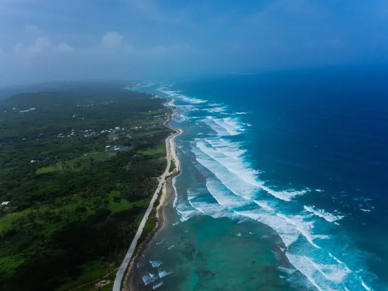 A tourist dives into the San Andrés Ocean, next to him there are reefs and a sea turtle, which is part of the diving activity.