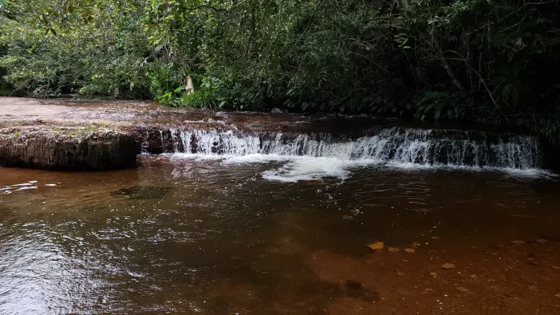 Un arroyo en San José del Guaviare con sus aguas cristalinas en medio de la vegetación y las rocas, es un buen destino para la actividad de Viaje Galáctico Ancestral