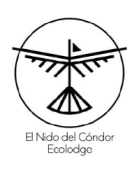 Logo - contacto