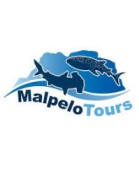 Logo - contacto