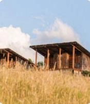 Manizales - casas montaña