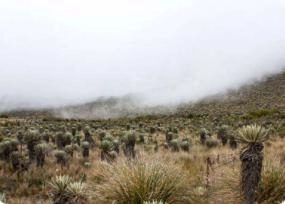 Sumapaz