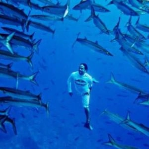 Diving