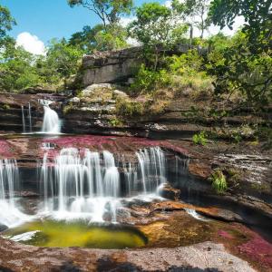 river of colors in Caño Cristales Colombia