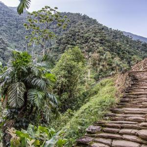 Enjoy the magic of the Lost City, with a natural staircase and vast vegetation that accompanies it