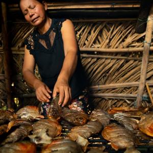 mulher indígena dentro de uma cabana preparando comida com peixe.