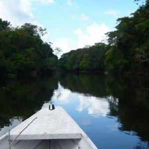 Lago Tarapoto