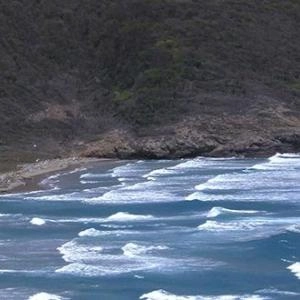 Réserve naturelle Playa Brava