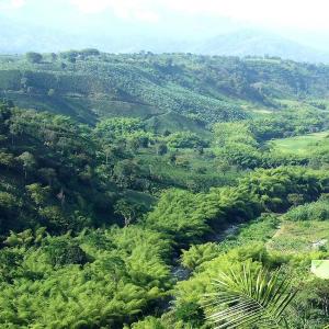 Accommodation in typical coffee haciendas