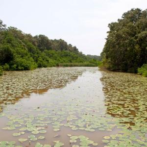 Paisagem natural da Via Parque Isla de Salamanca