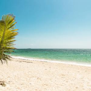 Playa de San uis en San Andrés, una palmera, el sol y el mar cristalino
