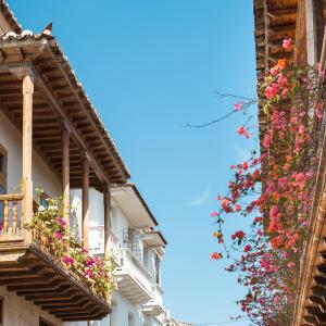 Plantas veraneras en balcones de la ciudad de Cartagena de Indias, Colombia