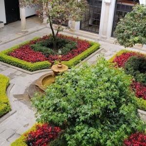 Foto Museo Botero