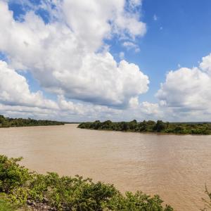 Foto del puente internacional de jose antonio paez