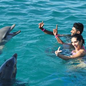 Atrévete a nadar con delfines en El Acuario y Museo del Mar del Rodadero