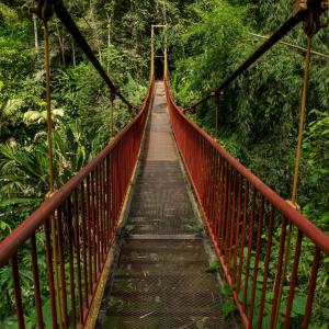 Foto Jardín Botánico del Quindío