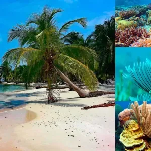 Coral reefs in Colombia