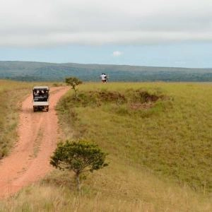 Carro de safari llanero en los llanos colombianos.