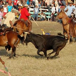 Fiestas 20 de enero