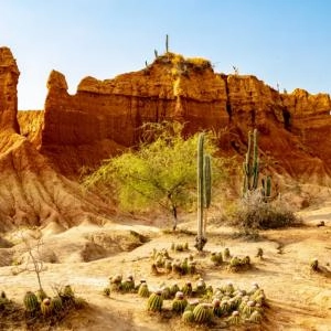 Formaciones rocosas de color rojo anaranjado en un paisaje desértico con cactus y arbustos.