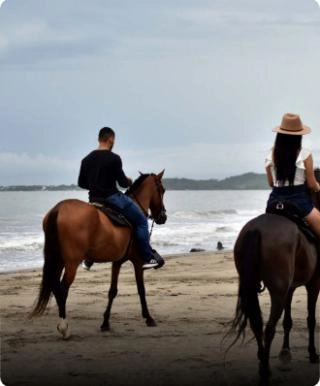 Caballos - Cartagena