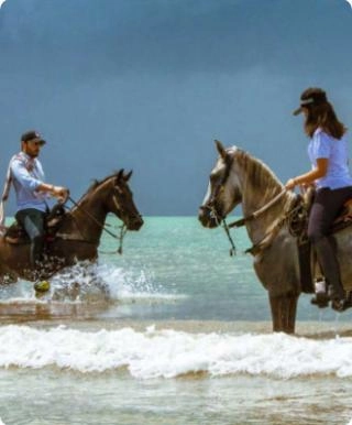 Caballos en el mar - Cartagena