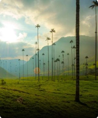 Quindío - Valle
