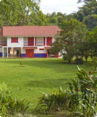 Quindío - Finca