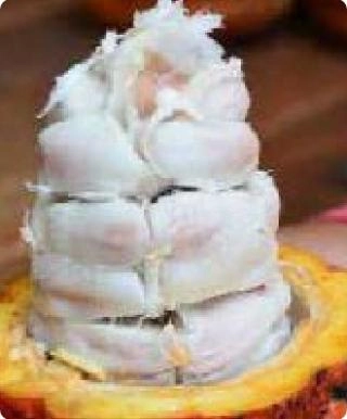 Quindío - Dulce