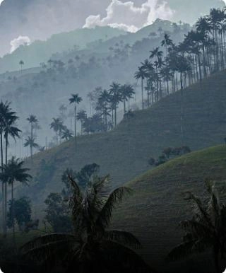 Ibagué, Tolima