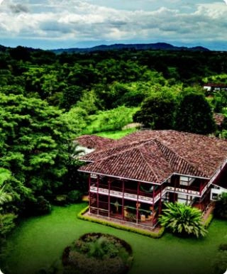 Pereira - finca