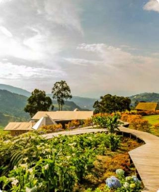 Manizales - recorrido montañas