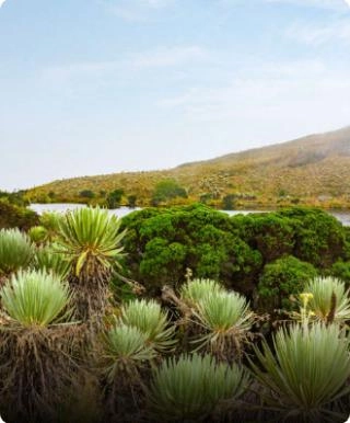 Sumapaz