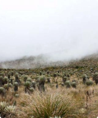 Sumapaz