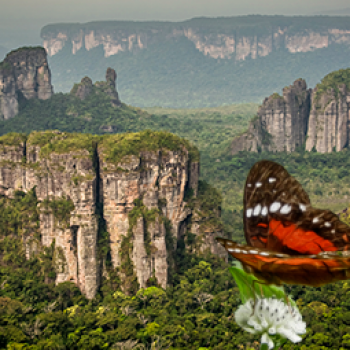 This Amazon paradise has plateaus three times the size of the Eiffel Tower