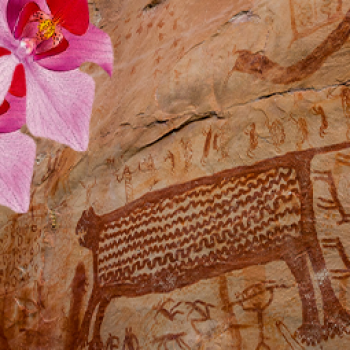 Chiribiquete a été reconnu par l'UNESCO comme un site du patrimoine mondial pour sa richesse naturelle et sa pertinence culturelle. Venez le connaitre