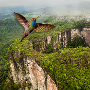 The extraordinary natural beauty of this place combines with its archeological wealth to form this majestic region in the heart of the Colombian Amazon