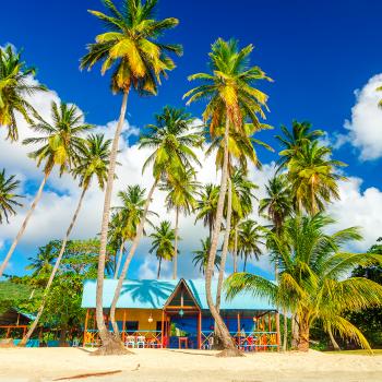 Viaja a Colombia y hospédate en una casa en la playa rodeada de palmeras.
