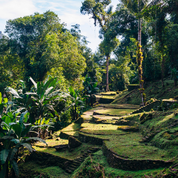 Trekking trails at the Lost City in Santa Marta, Colombia