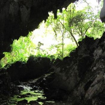 Admira el Parque Nacional Natural Cueva de los Guácharos
