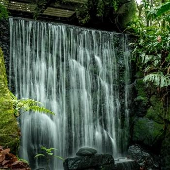 Foto Jardín botánico José Celestino mutis