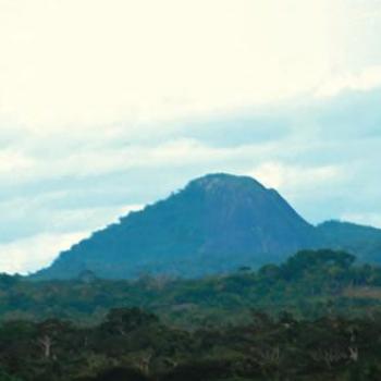 foto de Sube al cerro de Odocabeba (Urania)