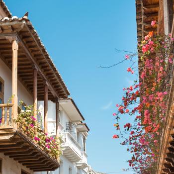 Plantas veraneras en balcones de la ciudad de Cartagena de Indias, Colombia