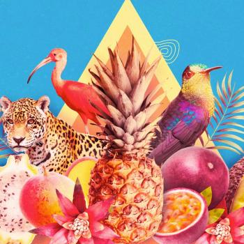 Un collage de las frutas tropicales de Colombia y algunos animales como el jaguar| Colombia Travel 