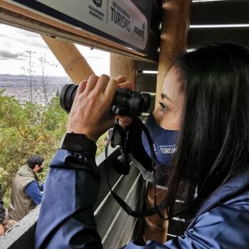 avistamiento de aves en colombia