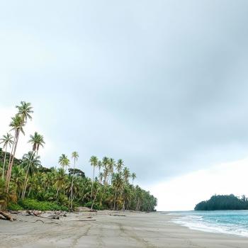 Gorgona Island beautiful beach and virgin nature