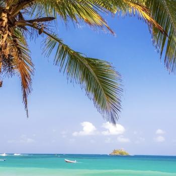 Playas escondidas del Caribe colombiano rodeadas de palmeras.