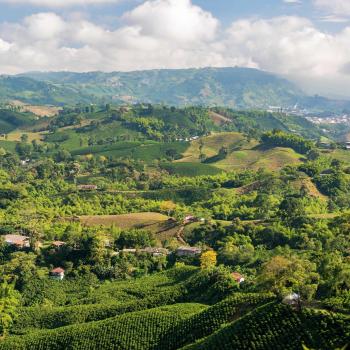Vista aérea de granjas de café cerca de Manizales, Colombia 