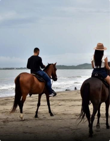 Caballos - Cartagena