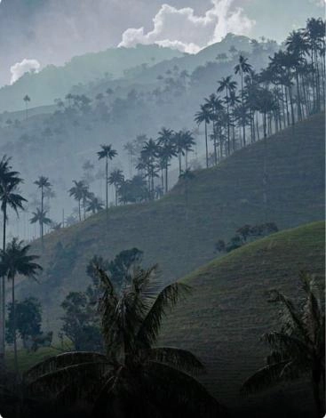 Ibagué, Tolima